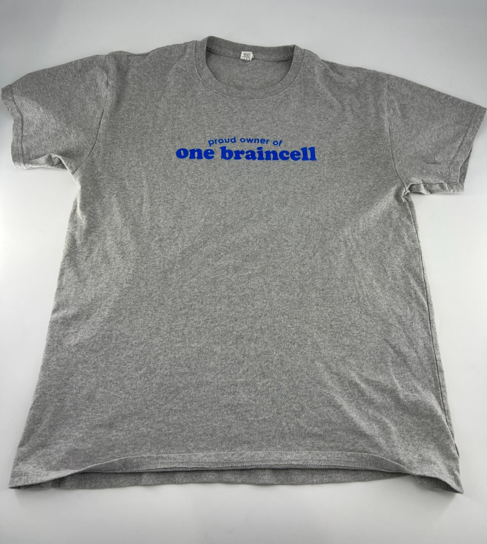 Graphic Tee Adult Unisex L Grey “Owner of one Braincell” Pullover Funny Comic